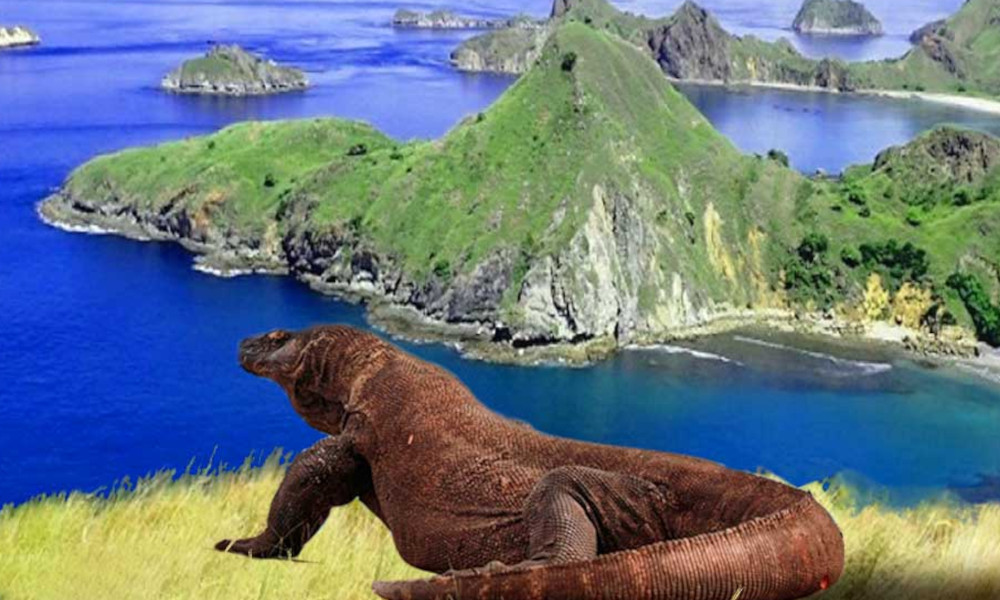 Pulau Komodo